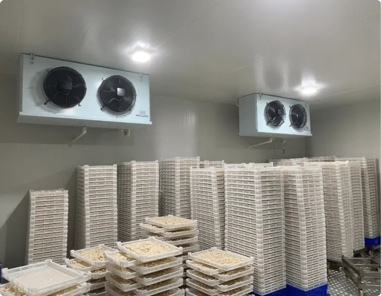 Kho lạnh có dàn lạnh và khay bánh gạo xếp gọn